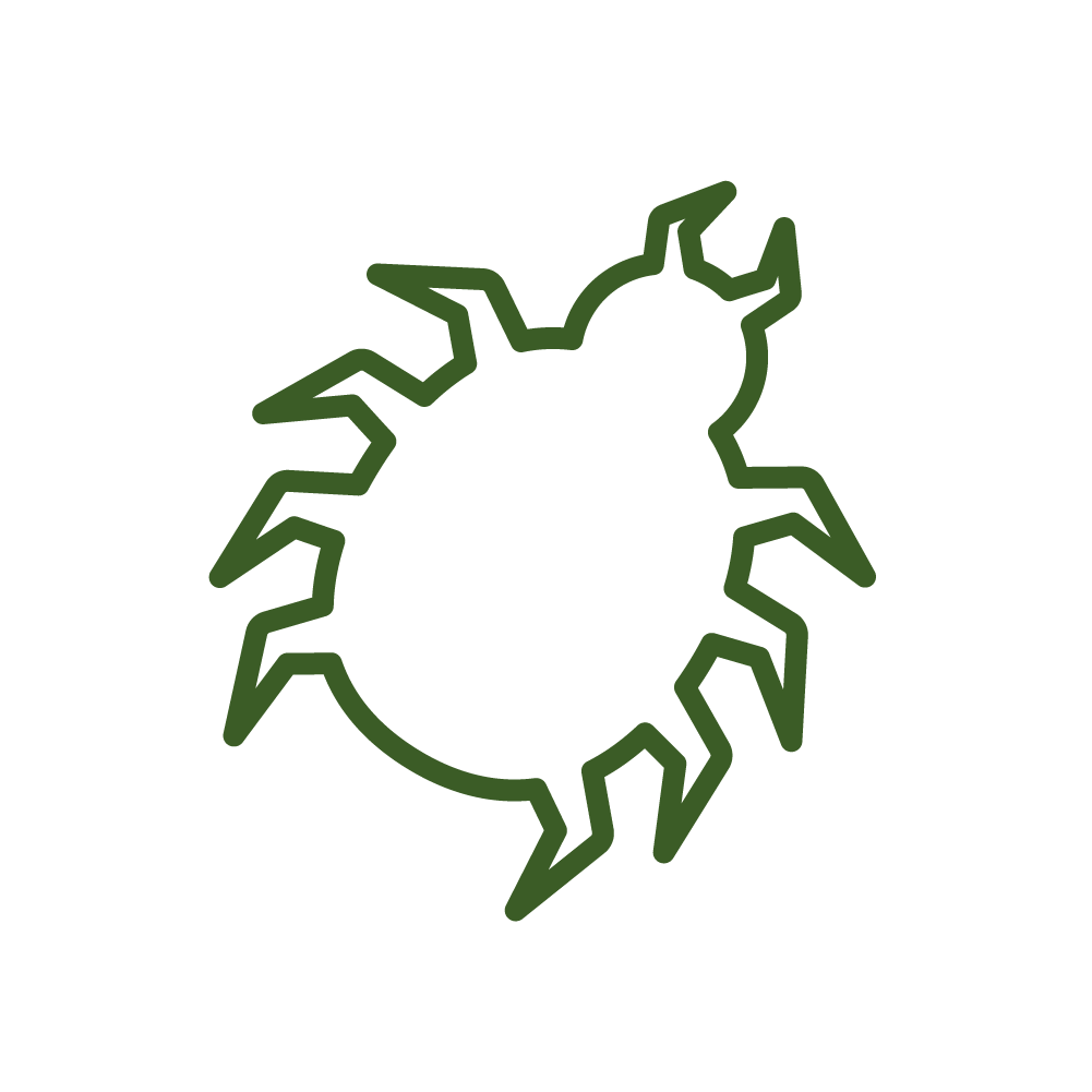 parasites_externes.