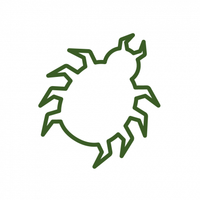 parasites_externes.